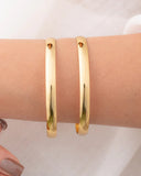 Srisha Bangles ( Set of 2 )