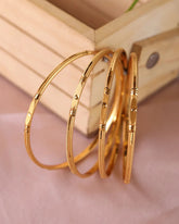 Sunita bangle (Set of 4)