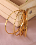 Sunita bangle (Set of 4)