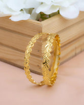 Sidhi Bangle.(Set Of 4)