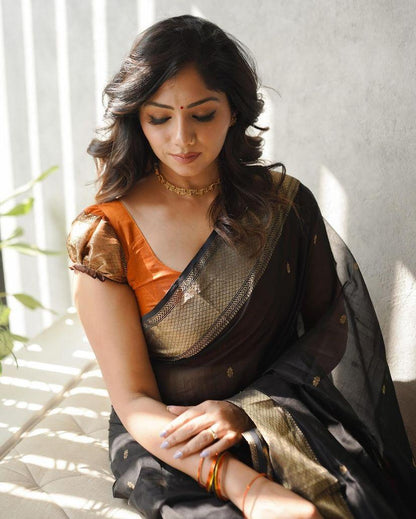 Classic Banarasi Style Lichi Silk Saree with Contrast Border